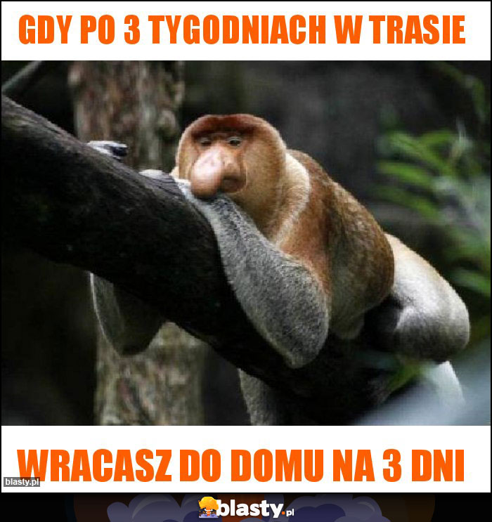 Gdy po 3 tygodniach w trasie