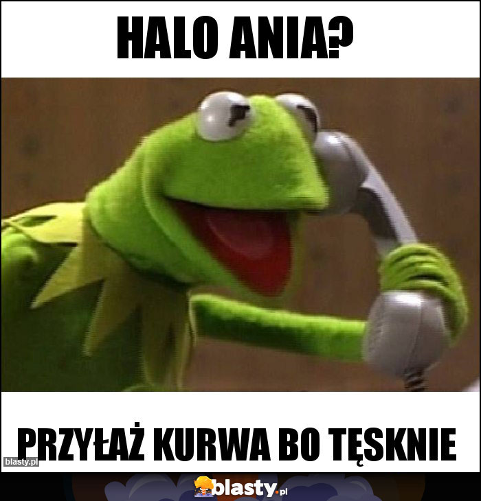 Halo Ania?