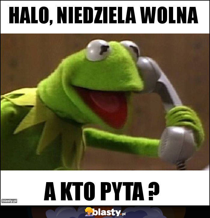 halo, niedziela wolna