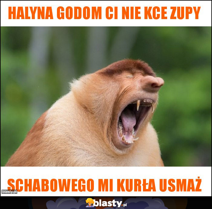 Halyna godom ci nie kce zupy