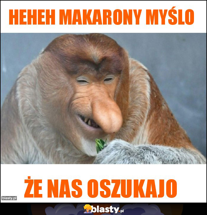 heheh makarony myślo