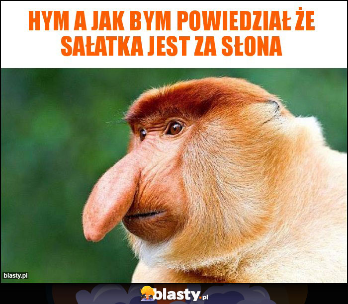 Hym a jak bym powiedział że Sałatka jest za słona