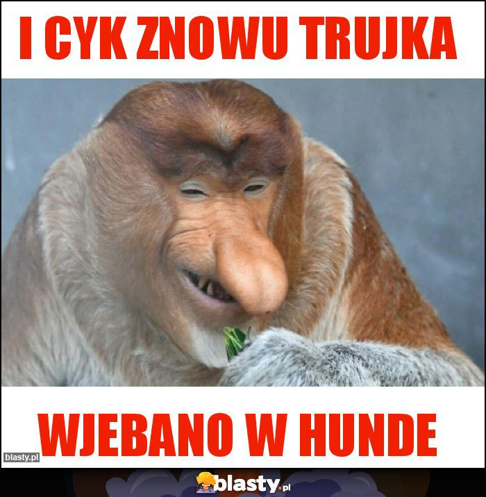 I cyk znowu trujka