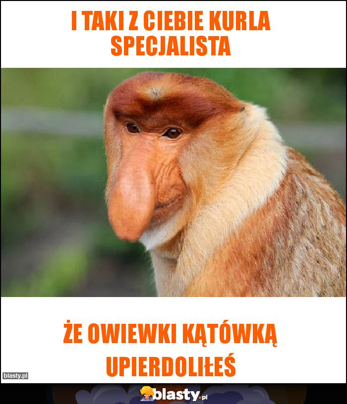 I taki z ciebie kurla Specjalista