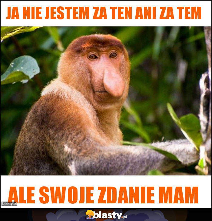 Ja nie jestem za ten ani za tem