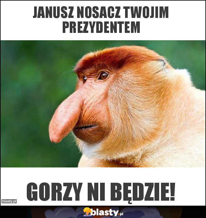 Janusz nosacz twojim prezydentem