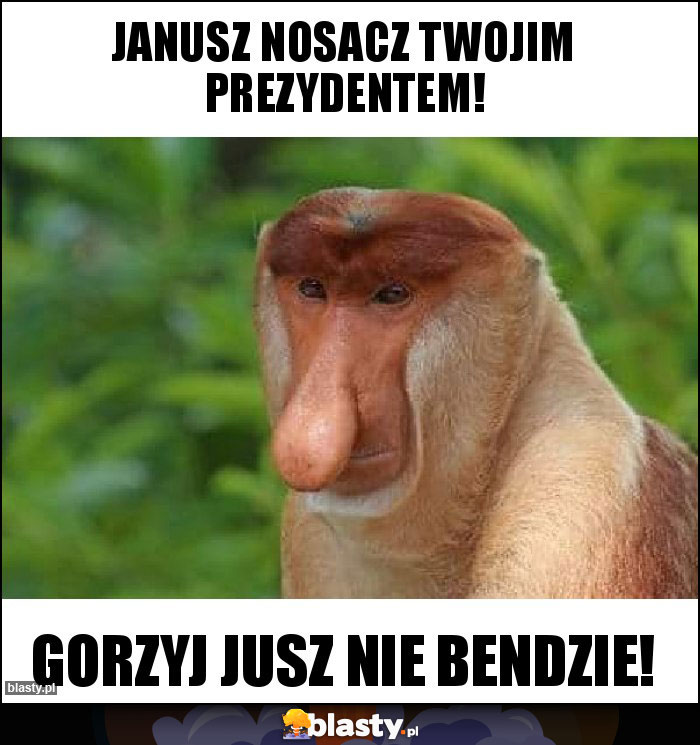 Janusz nosacz twojim prezydentem!