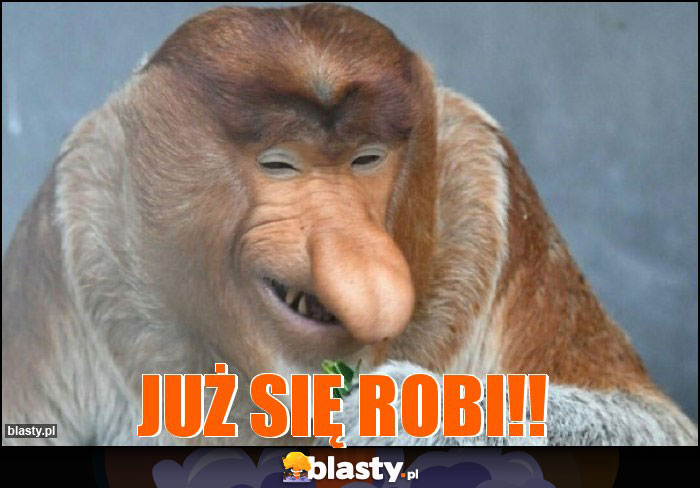 JUŻ SIĘ ROBI!!