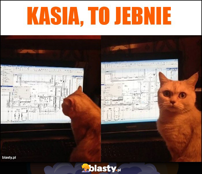 Kasia, To Jebnie