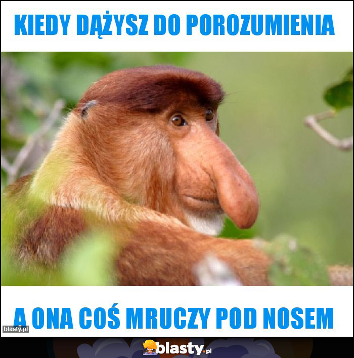 Kiedy dążysz do porozumienia