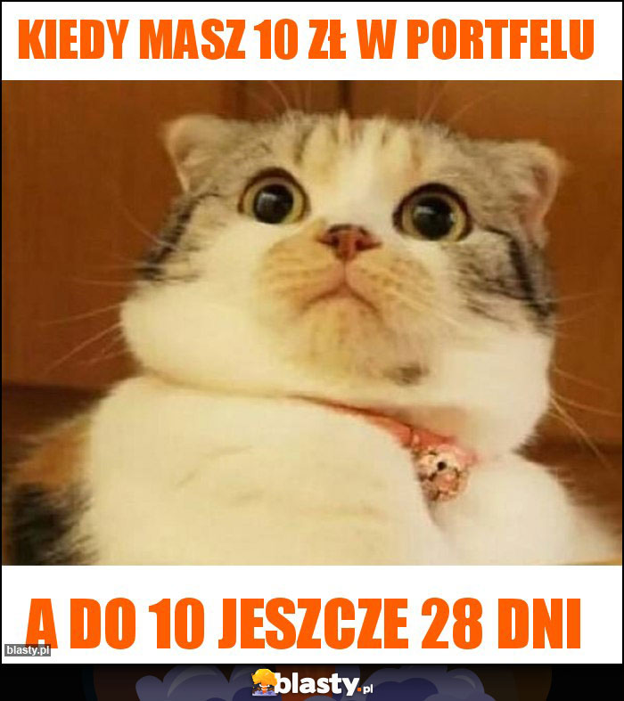 Kiedy masz 10 zł w portfelu