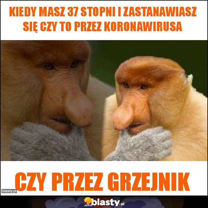 Kiedy masz 37 stopni i zastanawiasz się Czy to przez koronawirusa