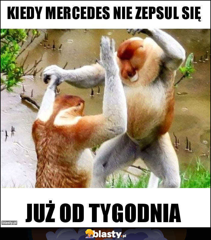 KIEDY MERCEDES NIE ZEPSUL SIĘ