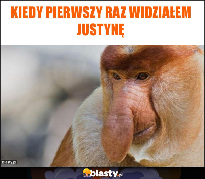 Kiedy pierwszy raz widziałem Justynę