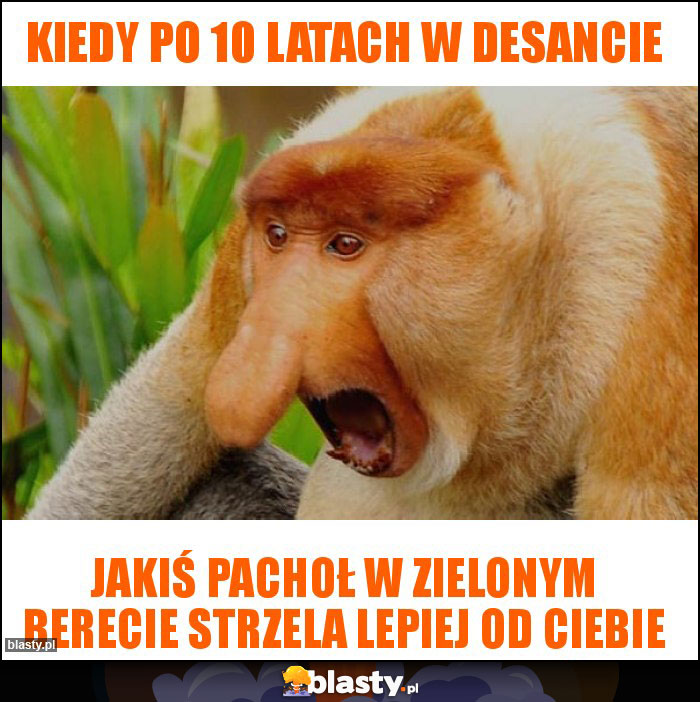 KIEDY PO 10 LATACH W DESANCIE