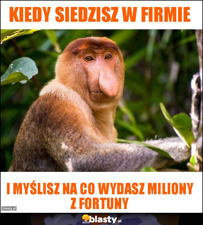 Kiedy siedzisz w firmie