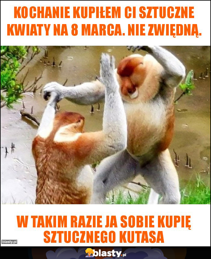 kochanie kupiłem ci sztuczne kwiaty na 8 marca. nie zwiędną.