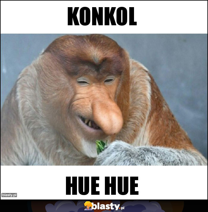 Konkol