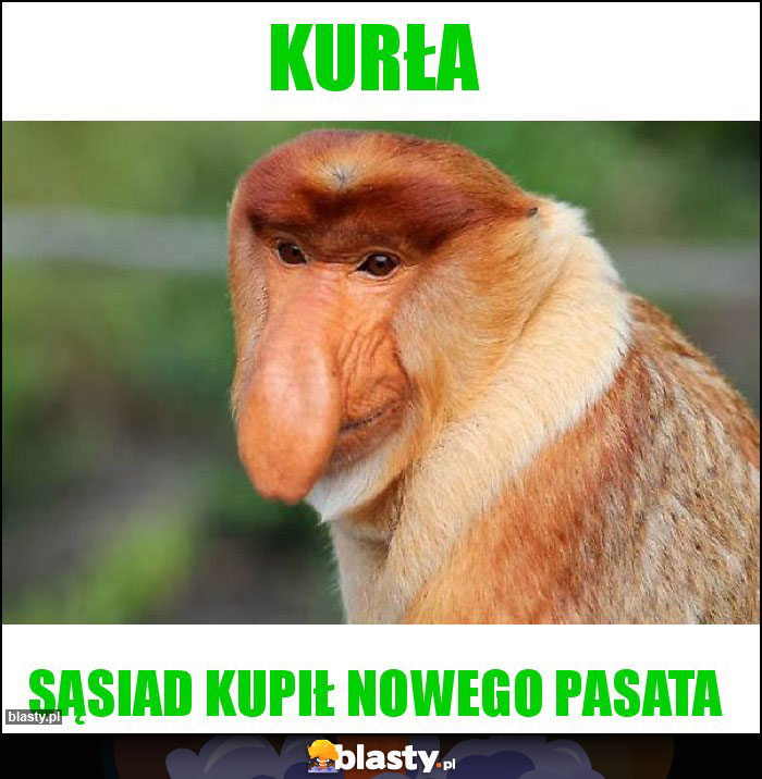 kurła