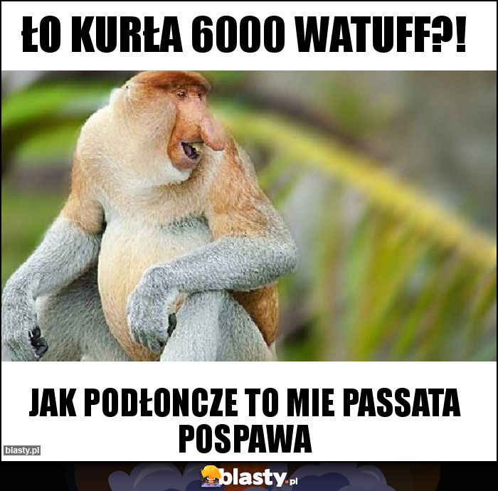 Ło kurła 6000 watuff?!