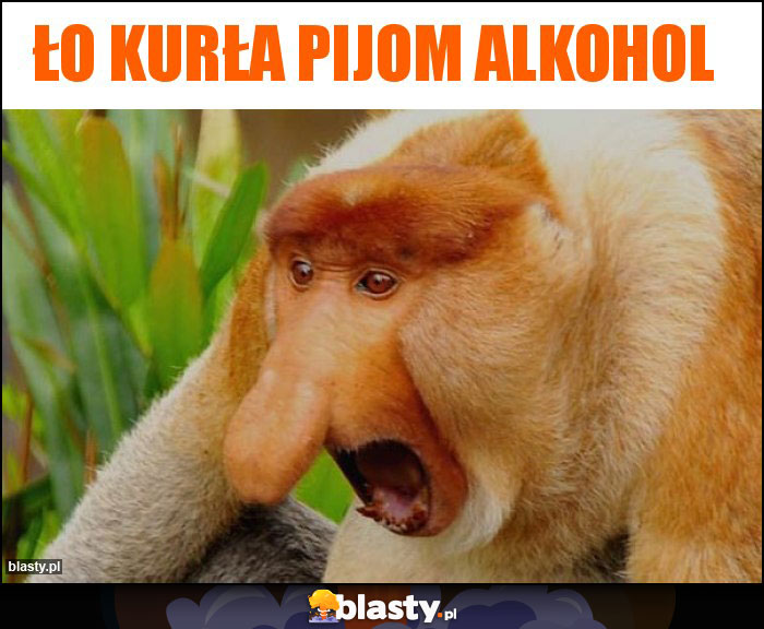 Ło kurła pijom alkohol