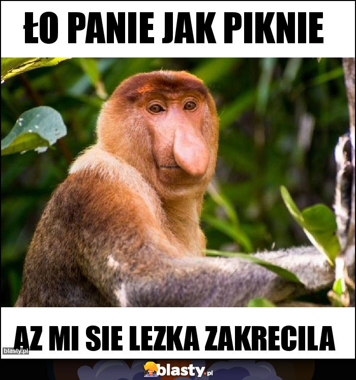 ło panie jak piknie