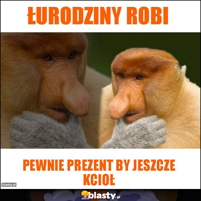 Łurodziny robi