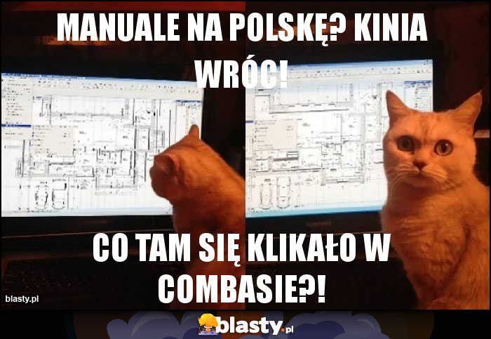 Manuale na Polskę? Kinia wróc!