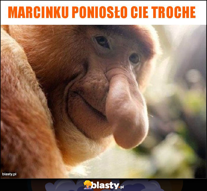 Marcinku poniosło cie troche