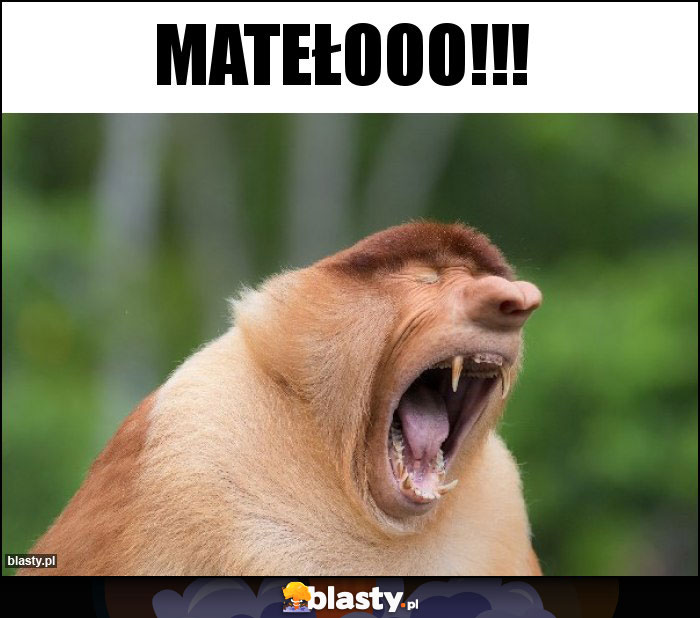 MATEŁOOO!!!