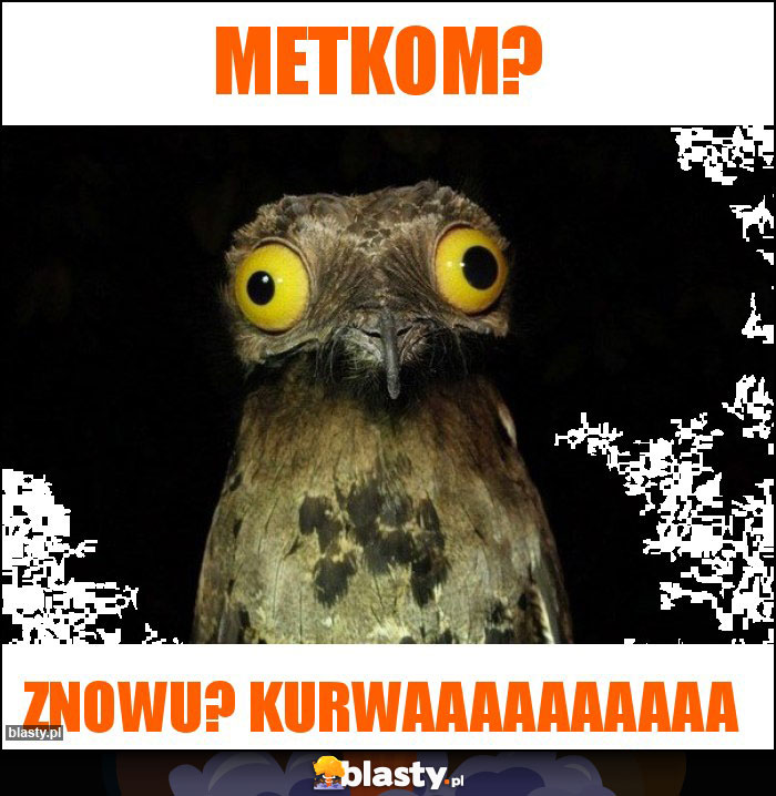 Metkom?