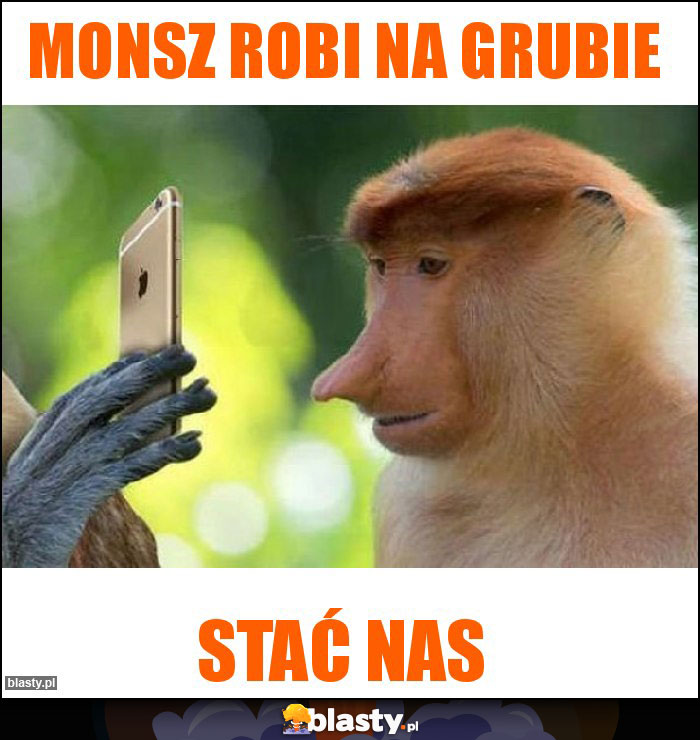 Monsz robi na grubie