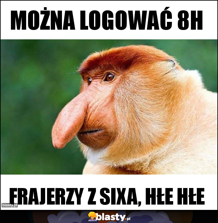 MOŻNA LOGOWAĆ 8H