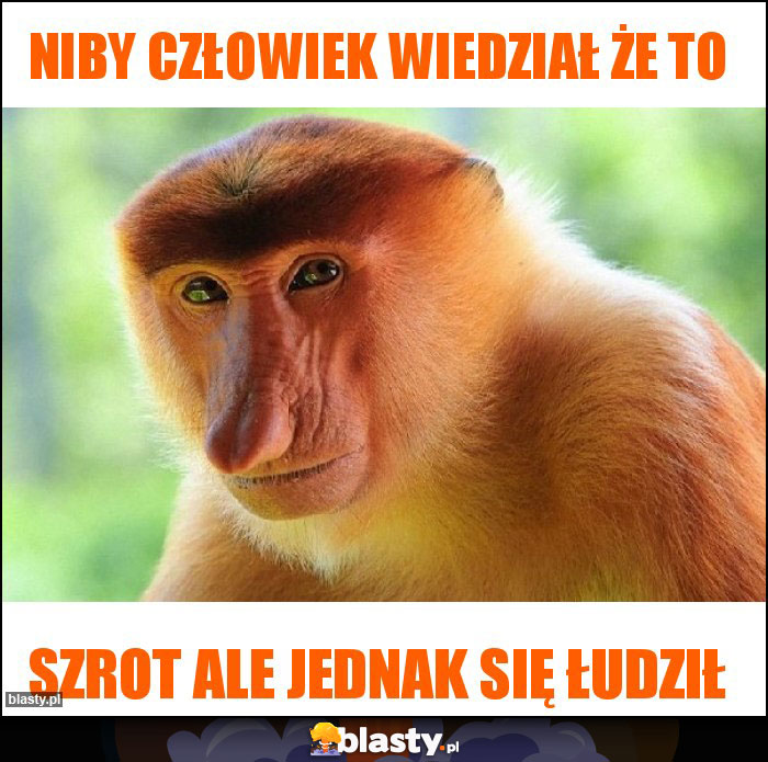 Niby człowiek wiedział że to