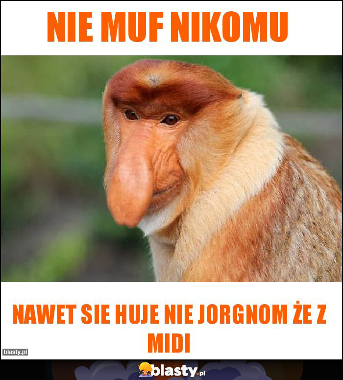 NIE MUF NIKOMU