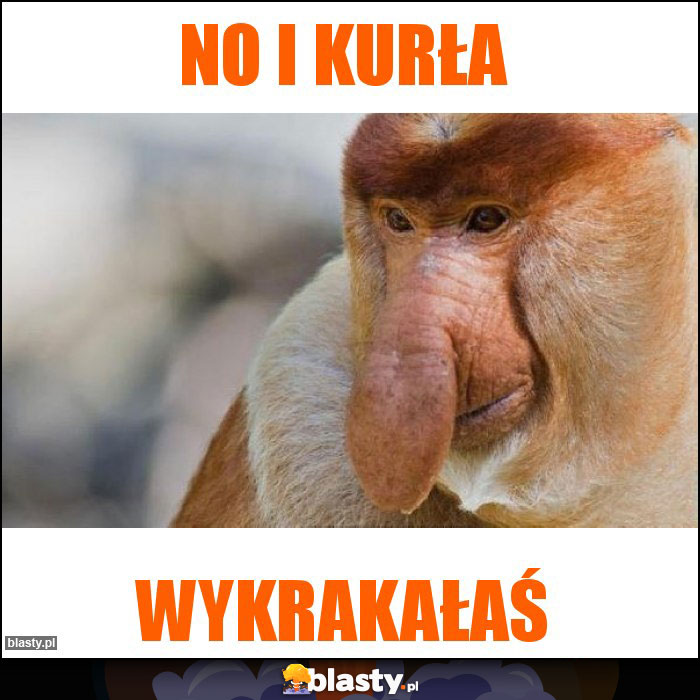 No i kurła