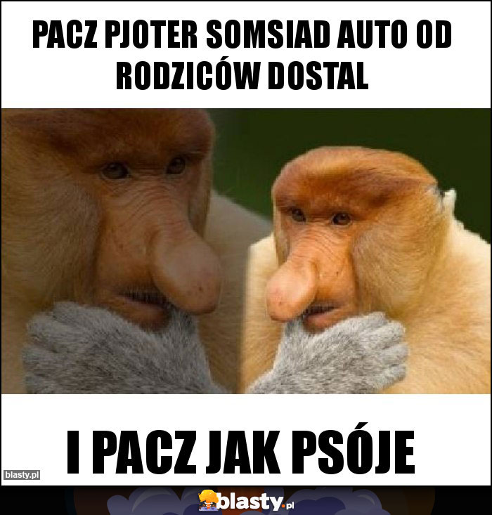 Pacz Pjoter somsiad auto od rodziców dostal