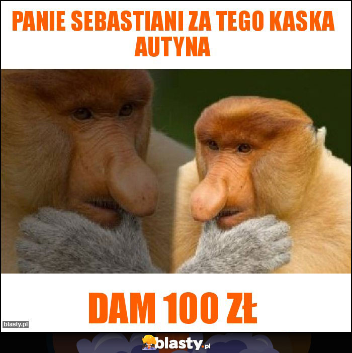 Panie sebastiani za tego kaska autyna