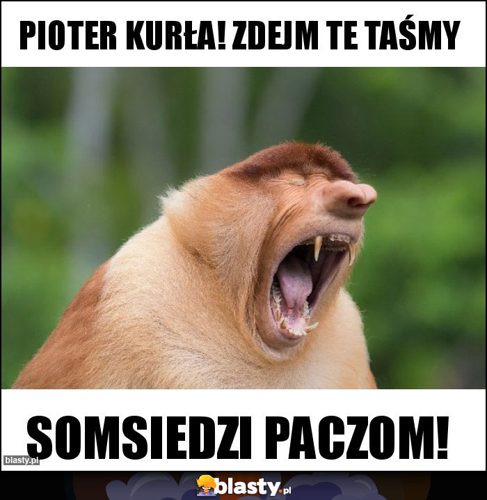 PIOTER kurła! ZDEJM te TAŚMY