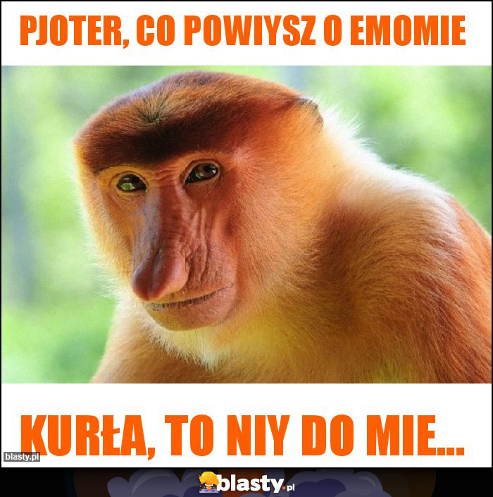 Pjoter, co powiysz o emomie