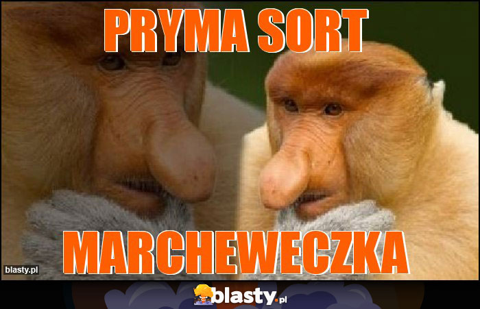 Pryma sort