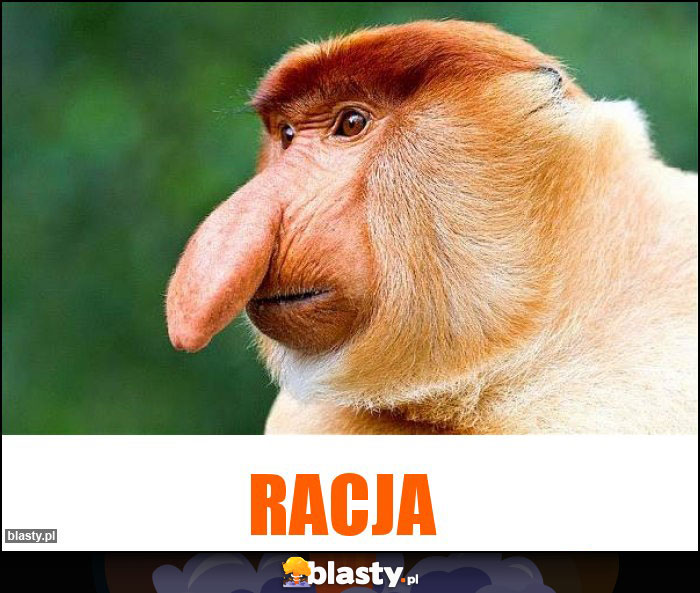 Racja