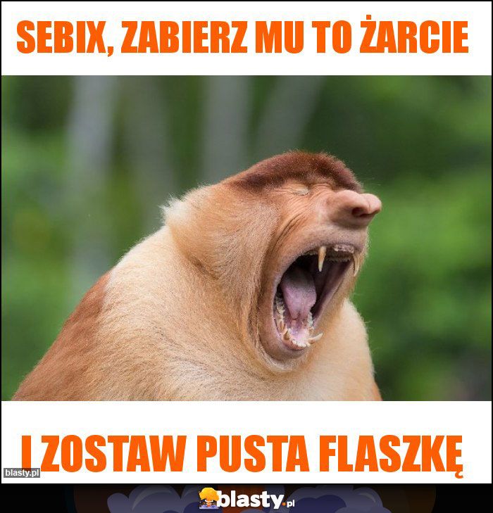 Sebix, zabierz mu to żarcie