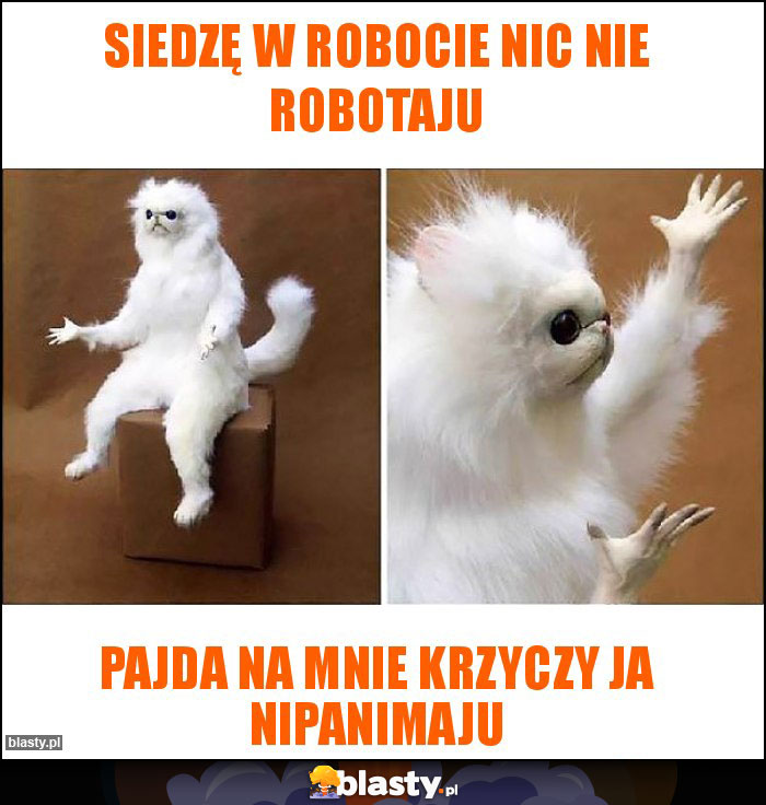 Siedzę w robocie nic nie robotaju