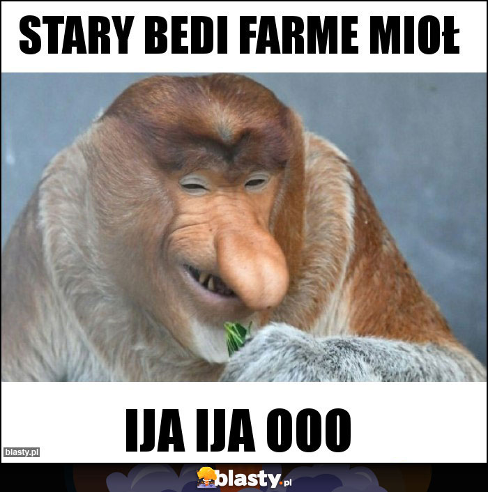 stary bedi farme mioł