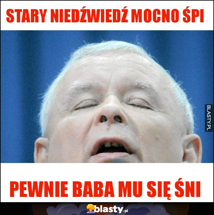 Stary niedźwiedź mocno śpi