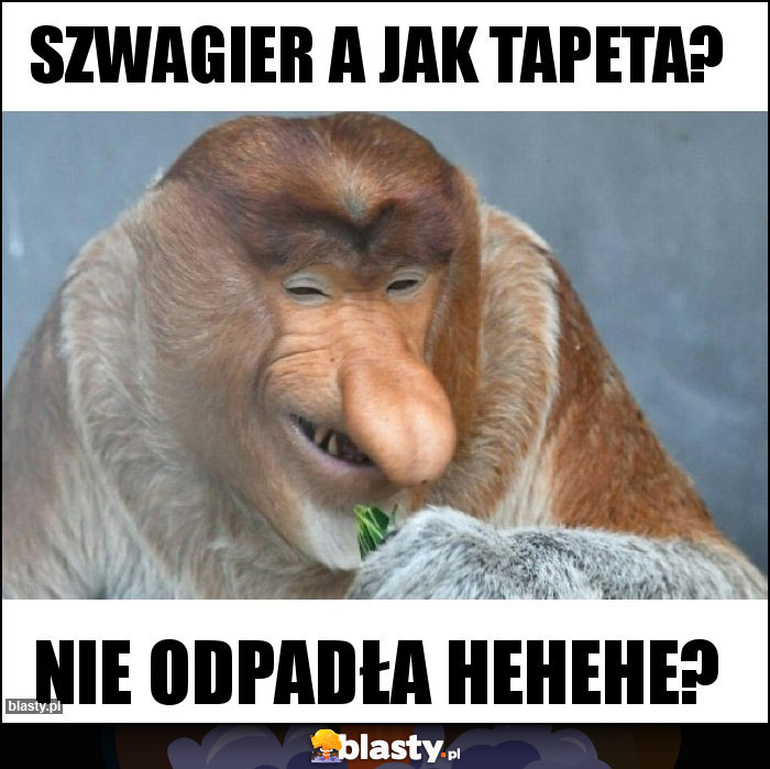 Szwagier a jak tapeta?