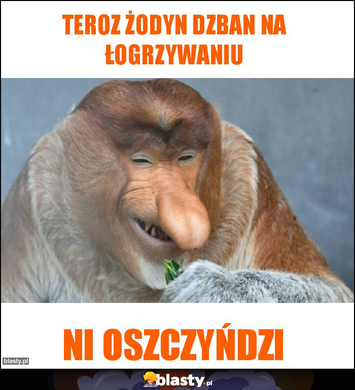 Teroz żodyn dzban na łogrzywaniu