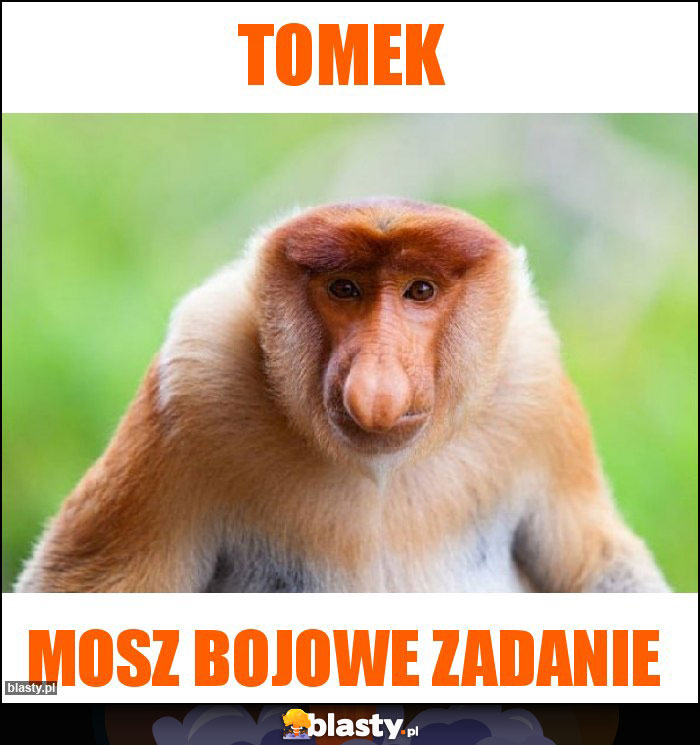 TOMEK