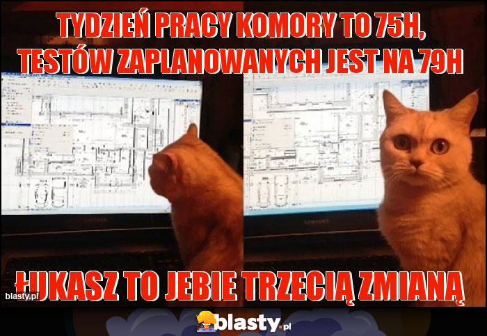 tydzień pracy komory to 75h, testów zaplanowanych jest na 79h